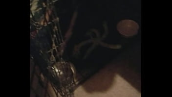 Boots is awesomeness