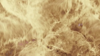 La inseminación artificial 3