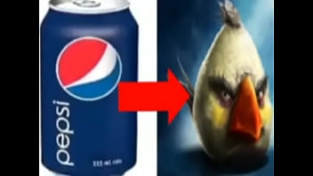 Top 5 imagens fodas de pássaros