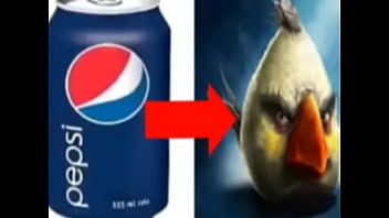 Top 5 imagens fodas de pássaros