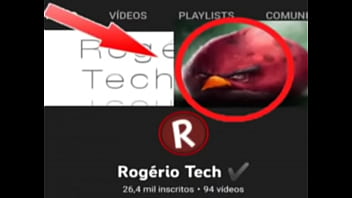 Top 5 imagens fodas de pássaros