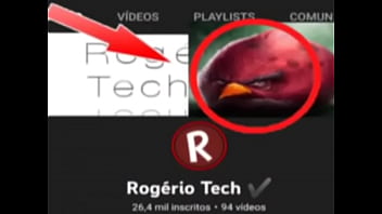 Top 5 Imagens Fodas De Pássaros thumbnail