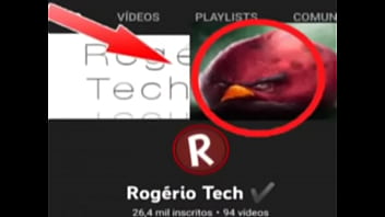 Top 5 imagens fodas de pássaros