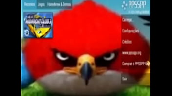 Top 5 imagens fodas de pássaros