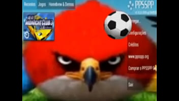 Top 5 imagens fodas de pássaros