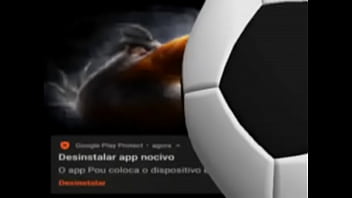 Top 5 imagens fodas de pássaros