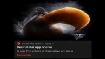 Top 5 imagens fodas de pássaros