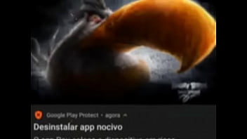 Top 5 imagens fodas de pássaros