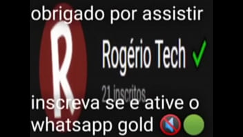 Top 5 imagens fodas de pássaros