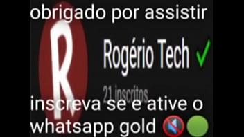 Top 5 imagens fodas de pássaros