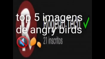 Top 5 imagens fodas de pássaros