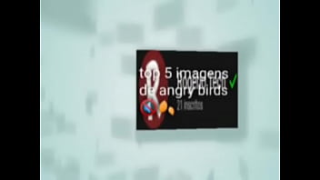 Top 5 imagens fodas de pássaros