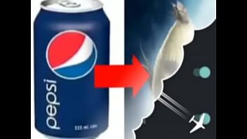 Top 5 imagens fodas de pássaros