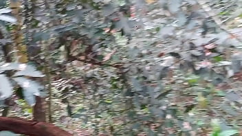 O cara pagou pra ve a minha buceta no parque ecologico tive que entrar no mato e mostrar pra ele