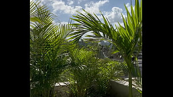 La vue vous plaît mes coquins