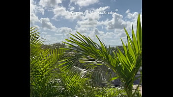 La vue vous plaît mes coquins