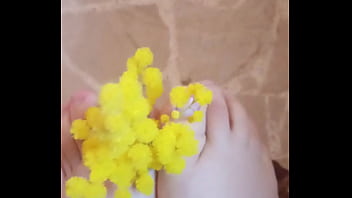 Piedini profumati di mimosa