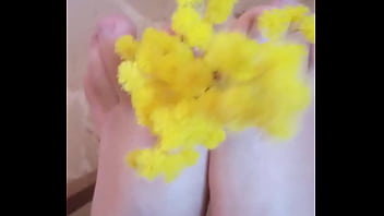 Piedini profumati di mimosa