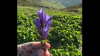 I got a super amazing flower from lily lu filmz what’s the most thoughtful gift you’ve ever received #flower