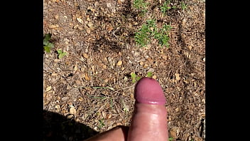 Cum forest Cum forest