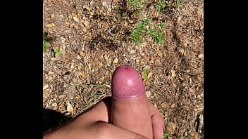 Cum Forest thumbnail