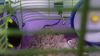 Trans Boy Can't Hold Piss Adultbaby thumbnail