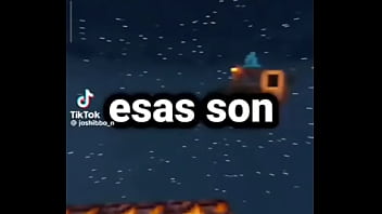 Vídeo de verificación