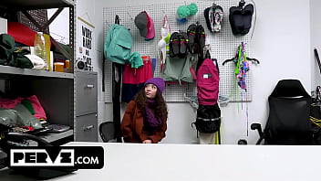 Case no 7906225 the happy holidays thief