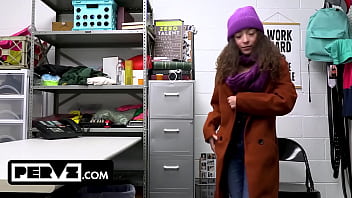 Case no 7906225 the happy holidays thief