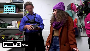 Case no 7906225 the happy holidays thief