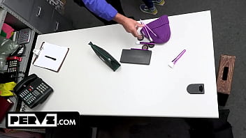 Case no 7906225 the happy holidays thief