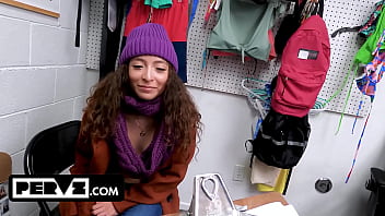 Case no 7906225 the happy holidays thief