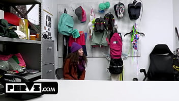 Case no 7906225 the happy holidays thief