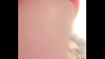 Pblehaut update #1 sep 06 2021