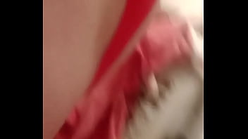 Pblehaut update #1 sep 06 2021