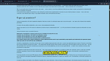 O xvideos está com os dias contados veja o impacto da lei felca