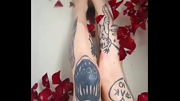 Миллионы миллионы алых роз