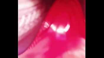 Perra con mirada de gata