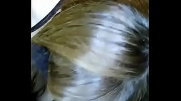 Haciendo deliciosa mamada