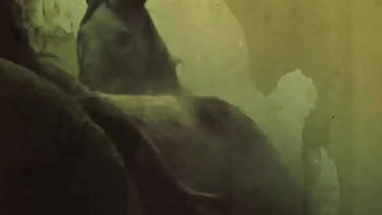 Vintage silent films