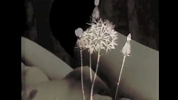 Vintage silent films