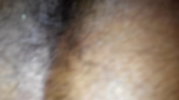 Homemade ebony doggy