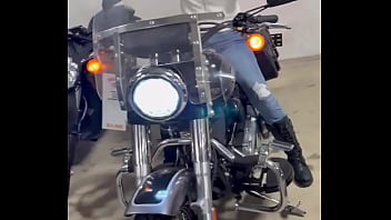 Looking for a harley that i want