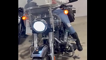 Looking for a harley that i want