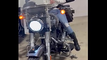 Looking for a harley that i want