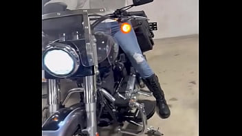 Looking for a harley that i want