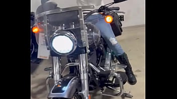 Looking for a harley that i want