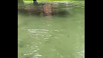 Yesterday i got to paddle beside this big girl for most of the river so fun hanging out with manatees