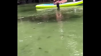Yesterday i got to paddle beside this big girl for most of the river so fun hanging out with manatees