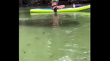 Yesterday I Got To Paddle Beside This Big Girl For Most Of The River So Fun Hanging Out With Manatees thumbnail